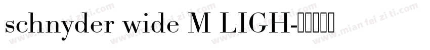 schnyder wide M LIGH字体转换